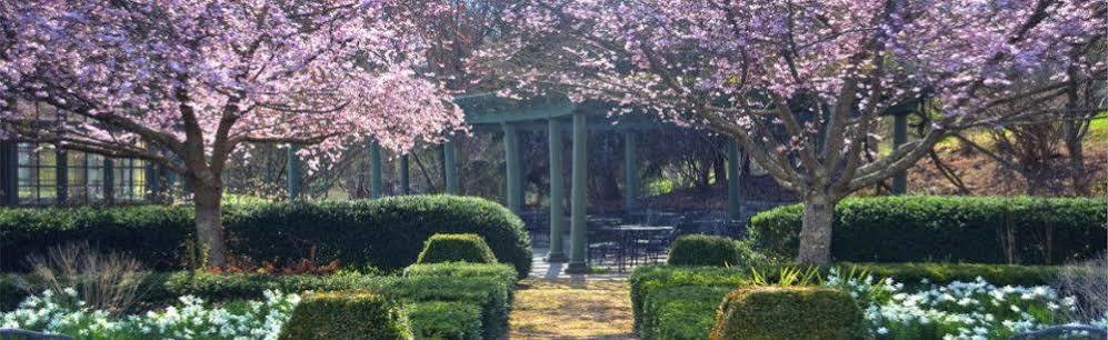Om Sanctuary Holistic Retreat Asheville Exterior foto